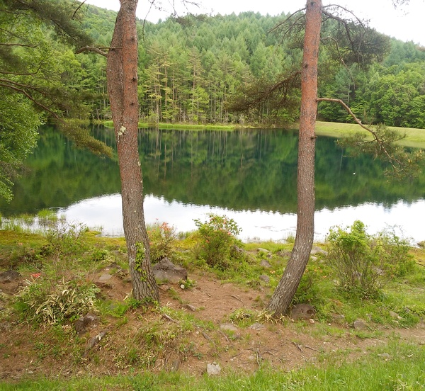 a0123724_12131477.jpg