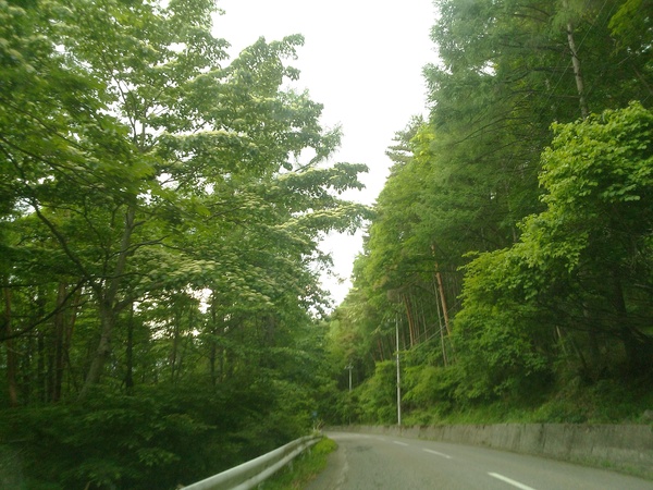 a0123724_12253596.jpg