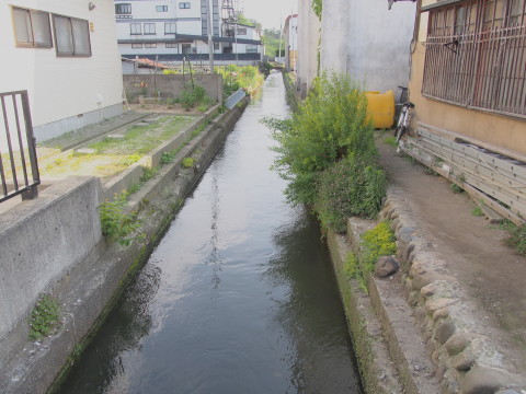 b0147224_0442830.jpg