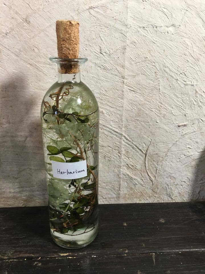 蒸。_c0102228_21244154.jpg
