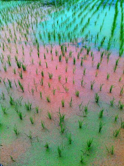 c0303246_22090079.jpg