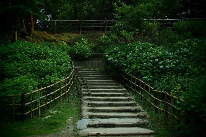 山田池公園　　　5/30_f0021869_20261908.jpg