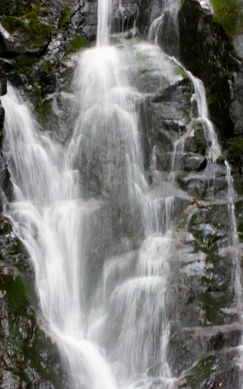 a0011373_12051239.jpg