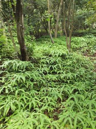 b0214473_13412268.jpg