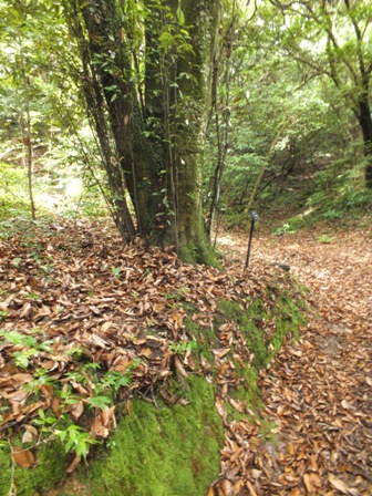 b0214473_1342461.jpg