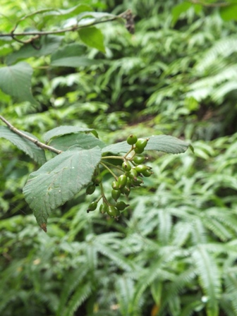 b0214473_1343317.jpg