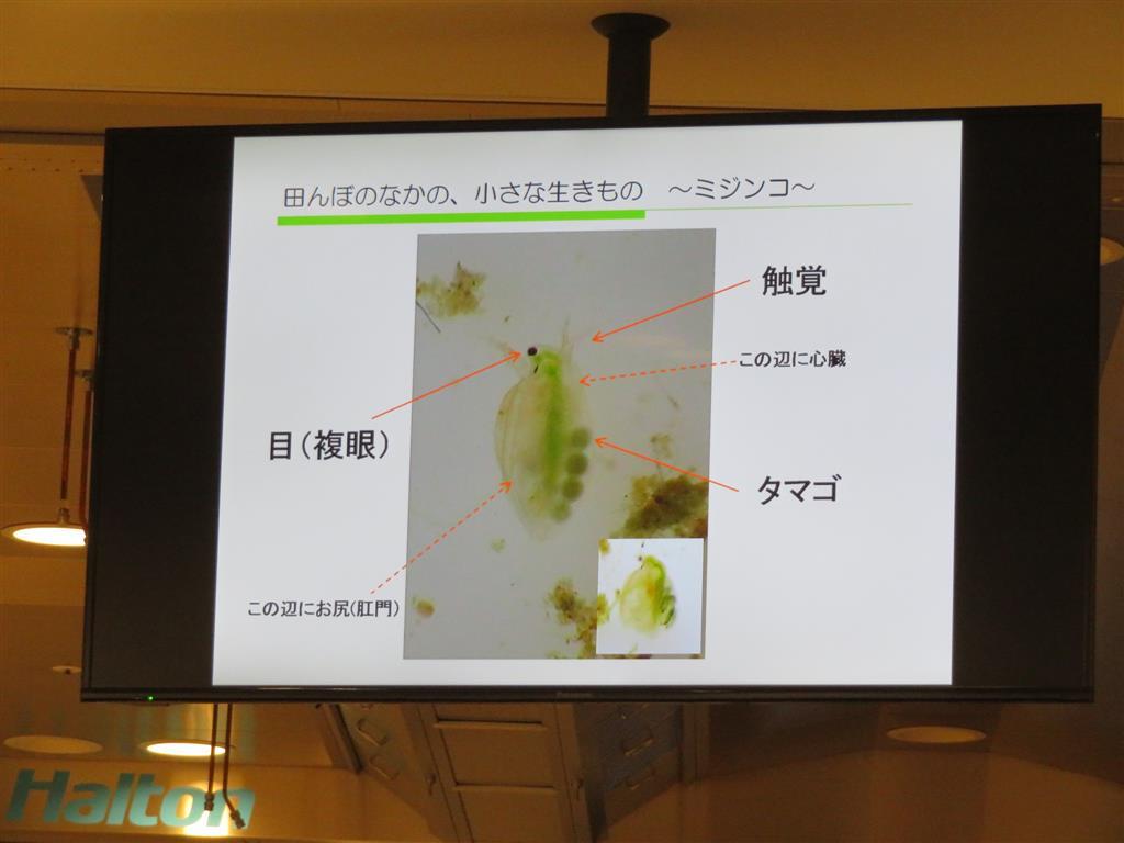 e0343075_15321922.jpg