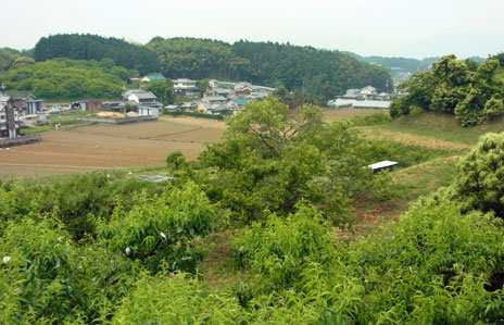 f0083977_14224279.jpg