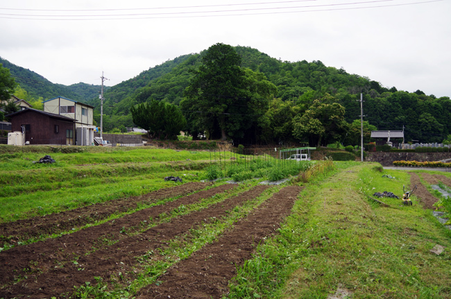 大地と豆のしらべ_c0168780_21155734.jpg