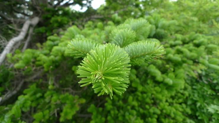 c0212083_18265784.jpg