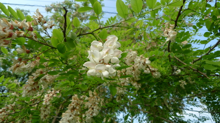 c0212083_18321490.jpg