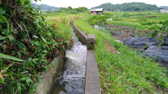 f0053885_20102769.jpg
