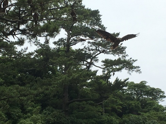 b0336787_00434309.jpeg
