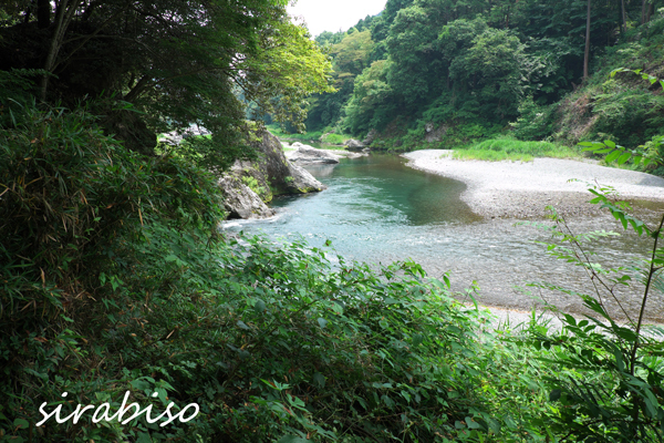 清流にて_e0142993_20093483.jpg