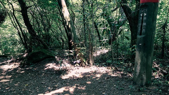 e0176993_06473448.jpg