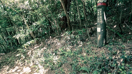 e0176993_06473466.jpg