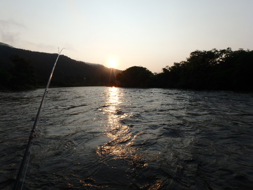 a0258799_1695941.jpg