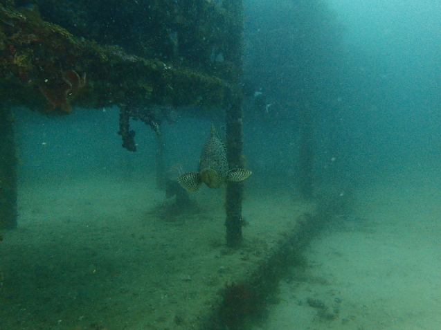 e0115199_13354928.jpg