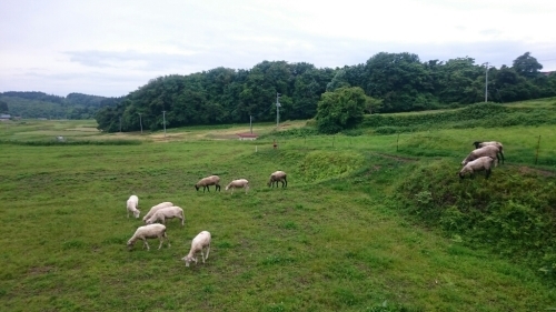 f0260414_14133747.jpg