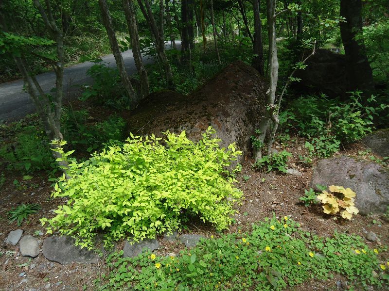 b0248920_06593337.jpg
