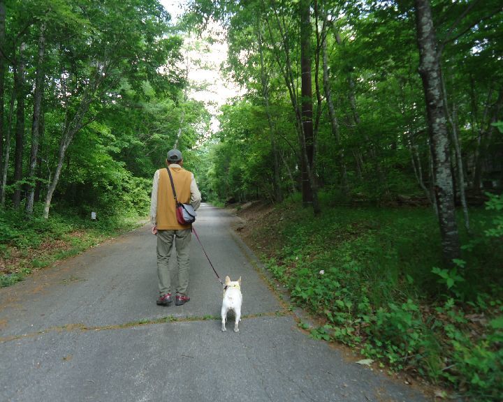 b0248920_07031511.jpg