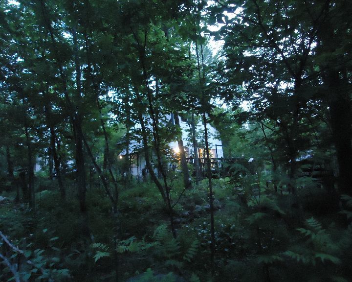 b0248920_07273209.jpg
