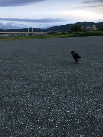 c0114121_2357327.jpg