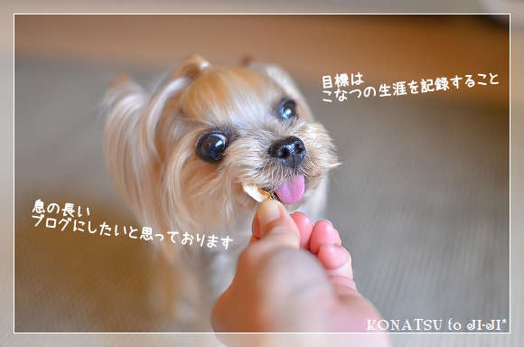 d0179828_11051771.png