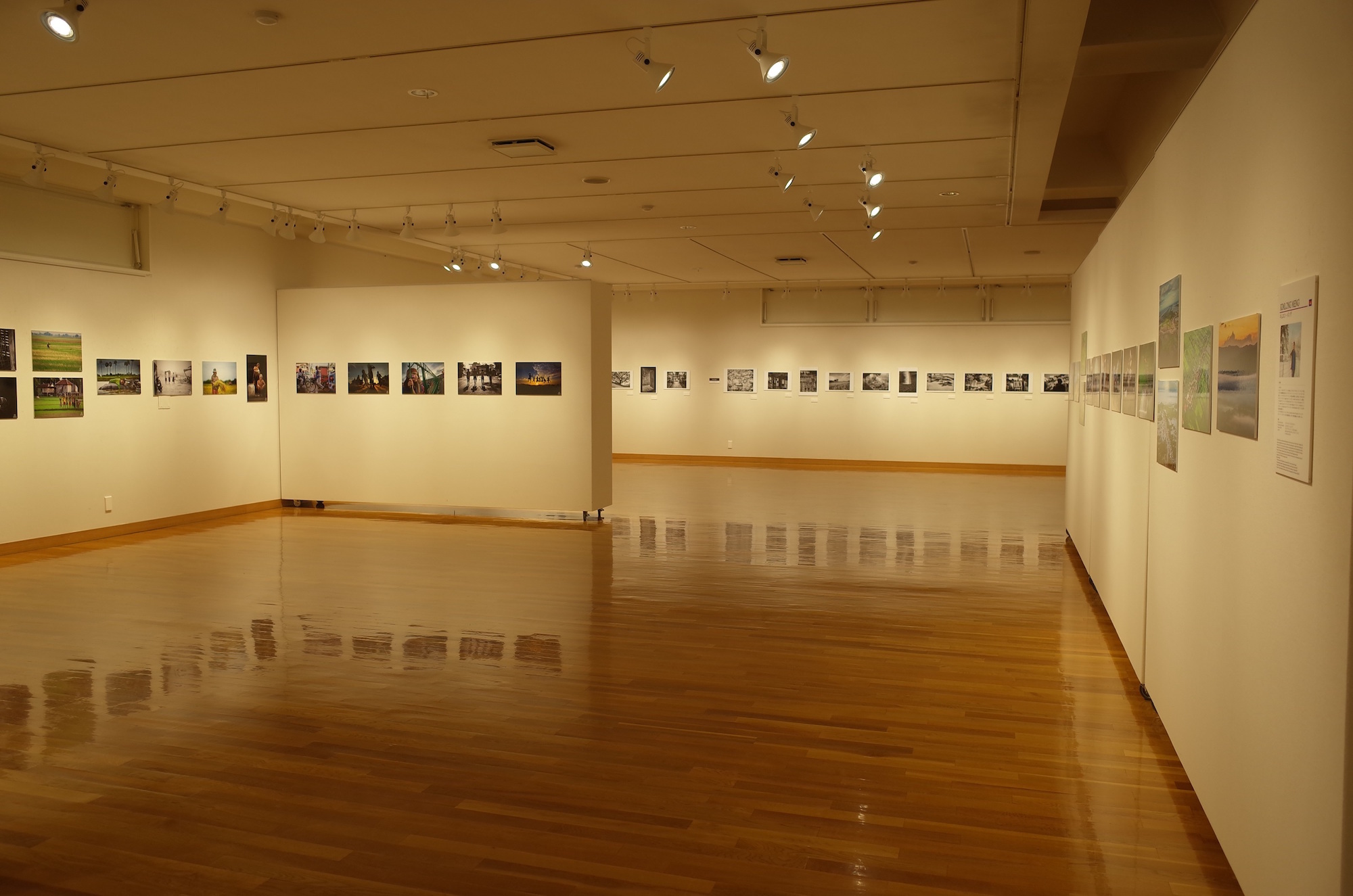 東川町文化ギャラリー写真展情報_b0187229_14422252.jpg
