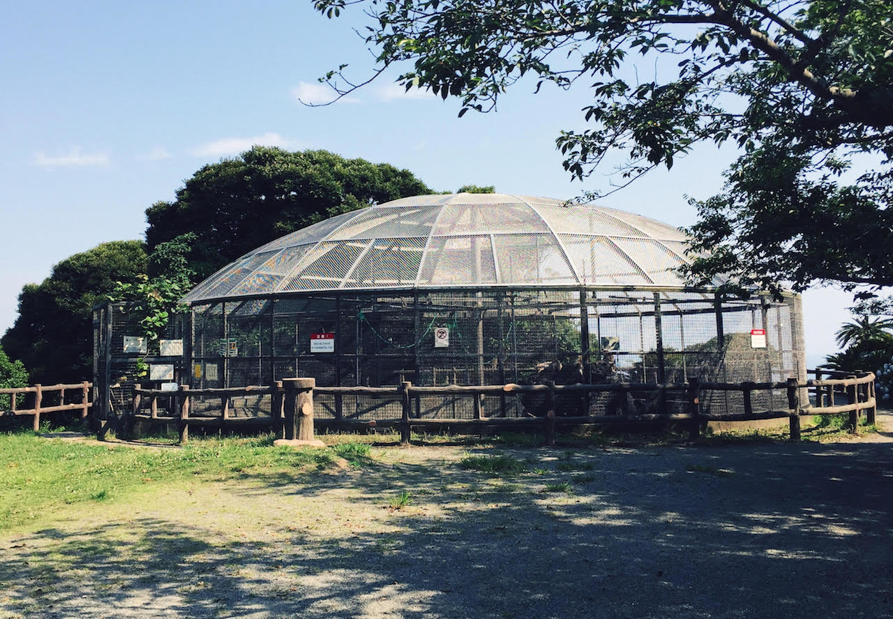 披露山公園、あるいは小坪防空高角砲台(前編)_d0360340_22523237.jpg