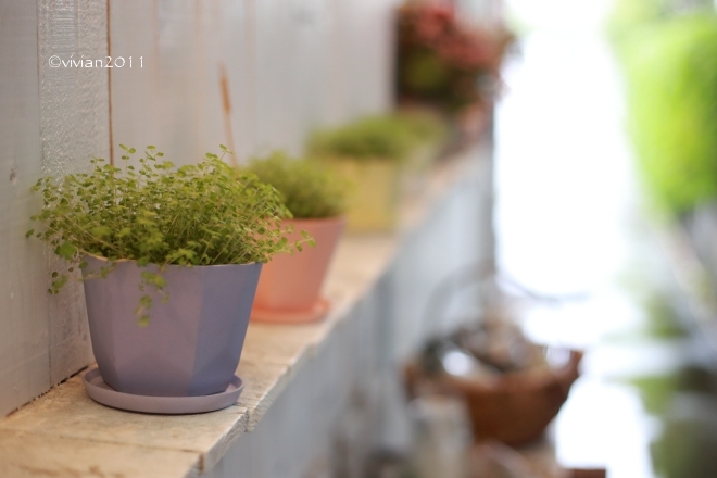 日光 Ennエン はなとくらし 雑貨も扱うお洒落な花屋さん In 玉藻小路 日々の贈り物 私の宇都宮生活