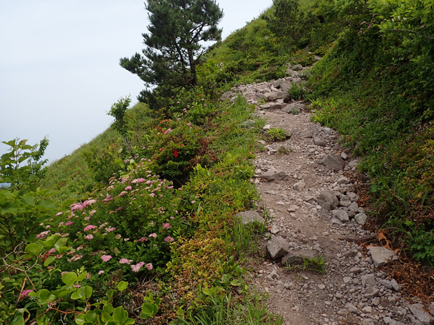 西の原から男三瓶山①_f0214649_03484894.jpg