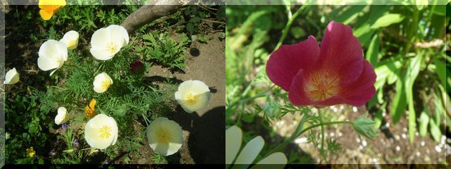 c0024861_121629.jpg
