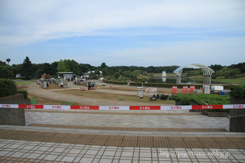 d0367763_20070791.jpg