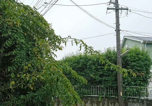 d0362666_12040060.jpg