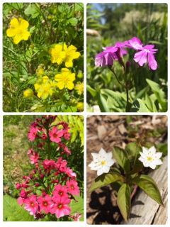 アニソン登山部 in入笠山_f0204368_01361759.jpg
