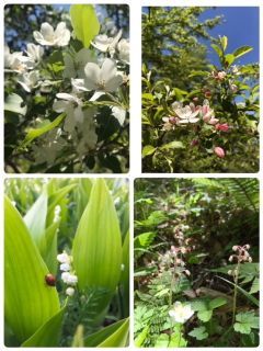 アニソン登山部 in入笠山_f0204368_01374044.jpg