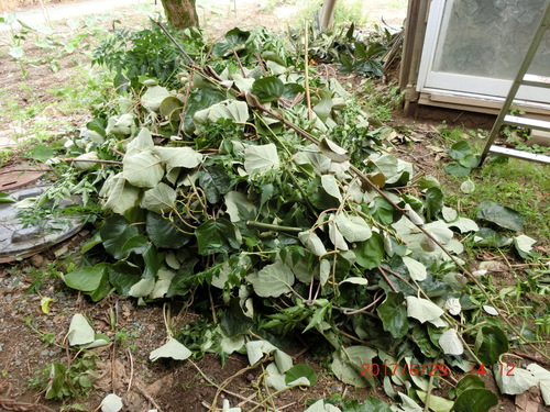 d0007071_14452426.jpg