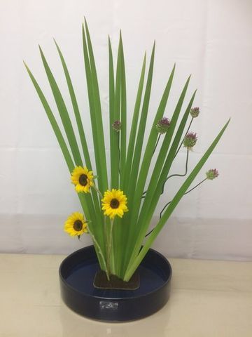 オクラレルカって知っていますか 花スタジオ ジャスミン Flower Studio Jasmine オクラレルカって知っていますか 花スタジオ ジャスミン Flower Studio Jasmine