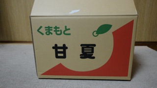 あまなつマーマレード amanatsu marmalade_b0188878_14251425.jpg