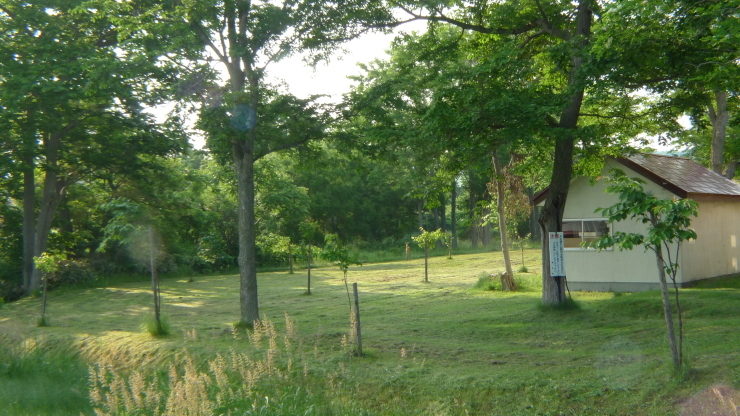 c0212083_20431650.jpg