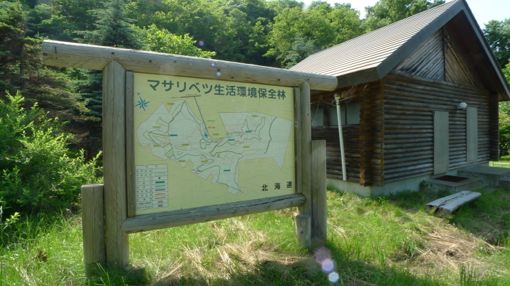 c0212083_20445812.jpg