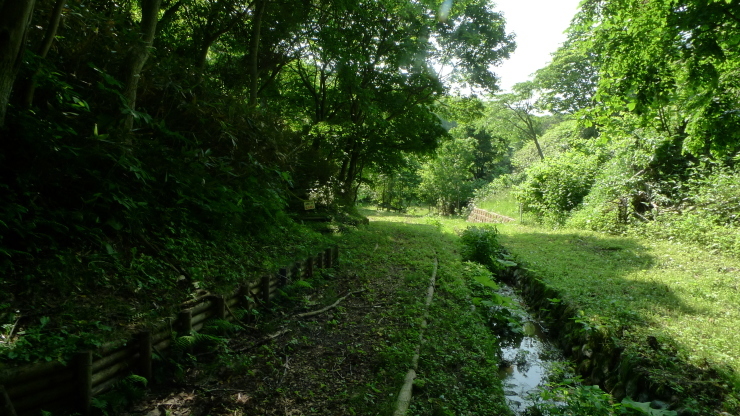 c0212083_20451015.jpg