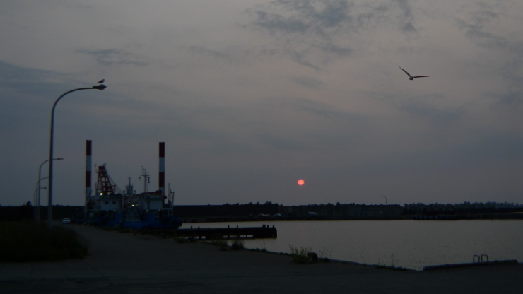 c0212083_20480274.jpg