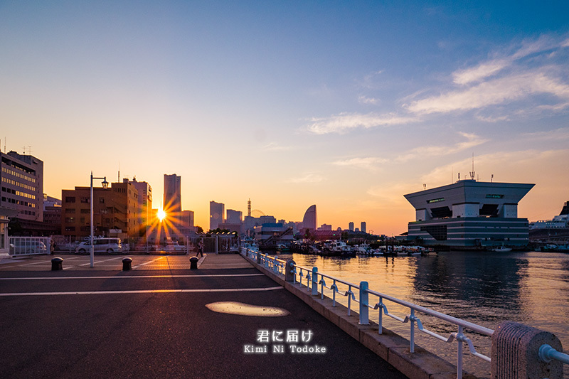 夕暮れの横浜　_f0206388_23294504.jpg