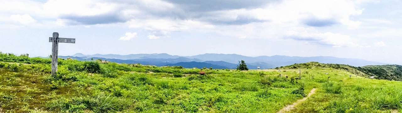 e0176993_07054568.jpg