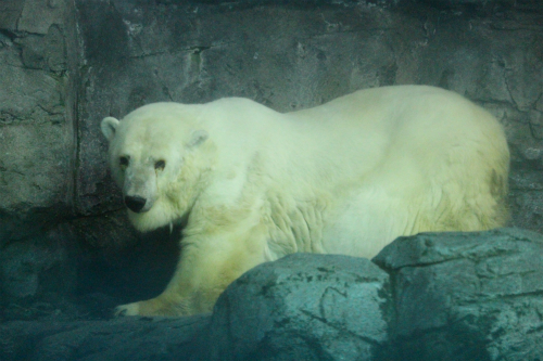 f0297893_18031036.jpg