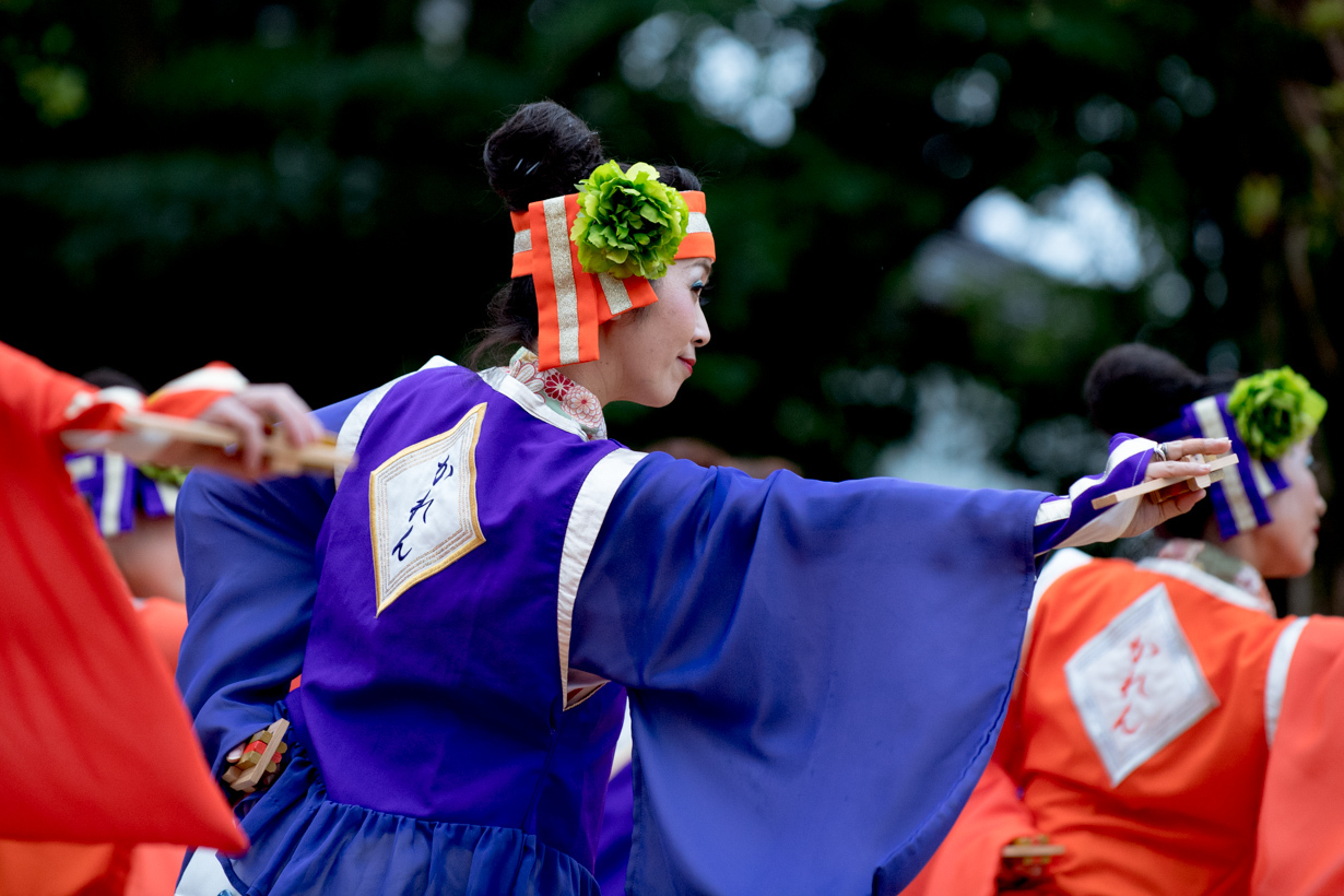 まじすか　よこすか2017　第４回横須賀よさこい祭『華連榛原-かれん-』_f0184198_13510074.jpg