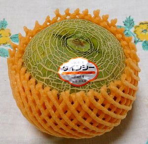 メロンあれこれ_b0044404_9334471.jpg