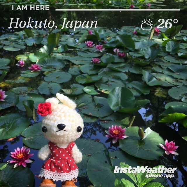 [あみぐるみ お出かけ] 八郎沼公園の睡蓮と、イギリス領事館の薔薇とあみぐるみ♪_f0340004_18440624.jpg